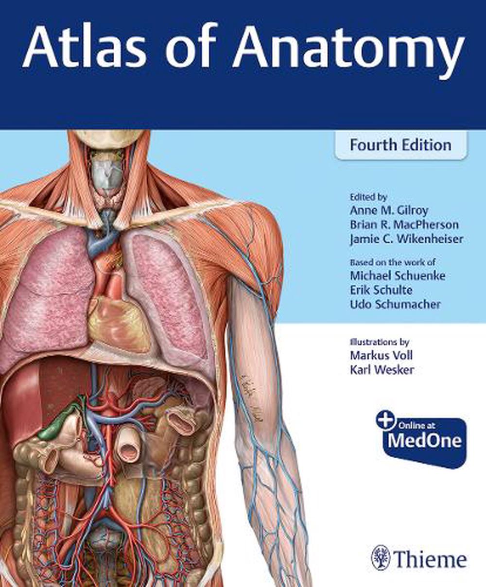 Atlas of Anatomy by Anne M. Gilroy, Paperback, 9781684202034 | Buy ...