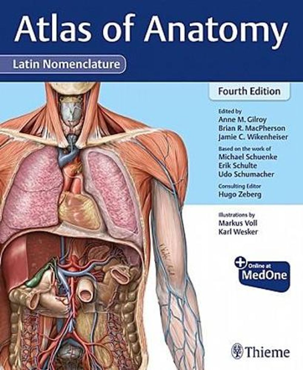 Atlas of Anatomy, Latin Nomenclature by Anne M. Gilroy - ISBN: 9781684204519