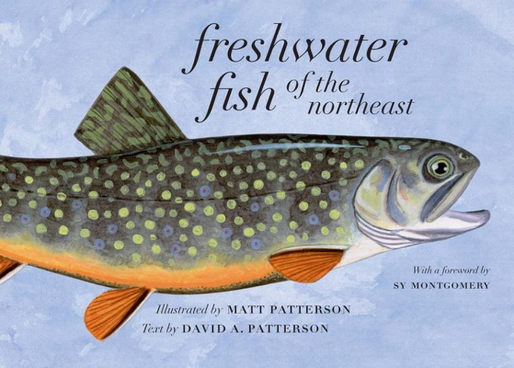 Freshwater Fish of the Northeast by Matt Patterson - ISBN: 9781684582167