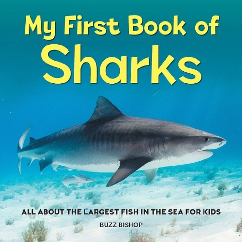 My First Book of Sharks by Buzz Bishop - ISBN: 9781685394530