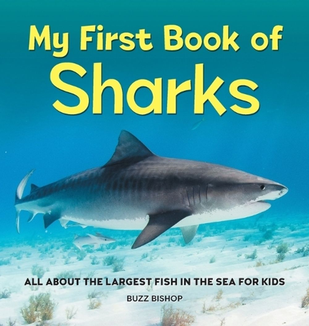 My First Book of Sharks by Buzz Bishop - ISBN: 9781685396404
