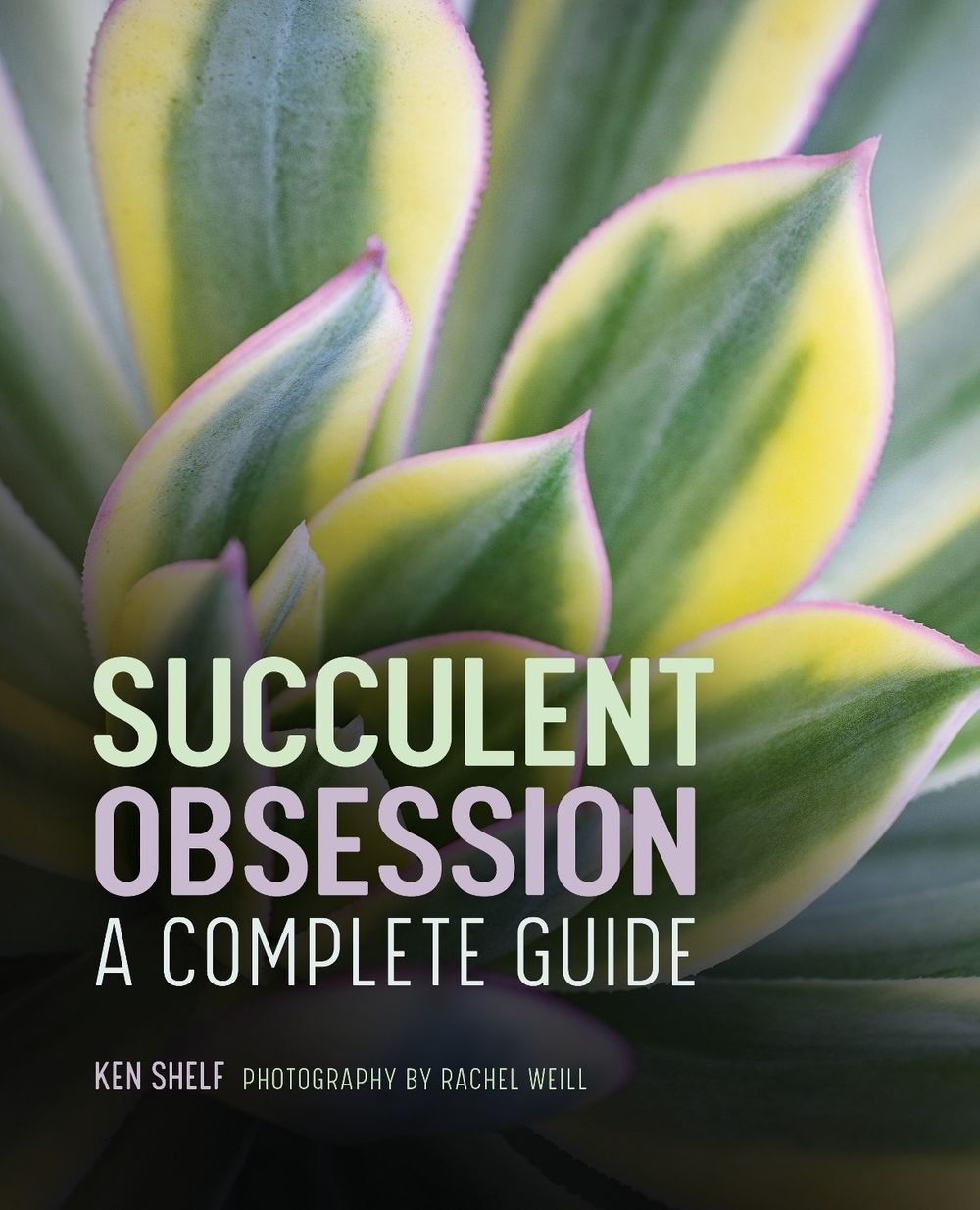 Succulent Obsession by Ken Shelf - ISBN: 9781685397012