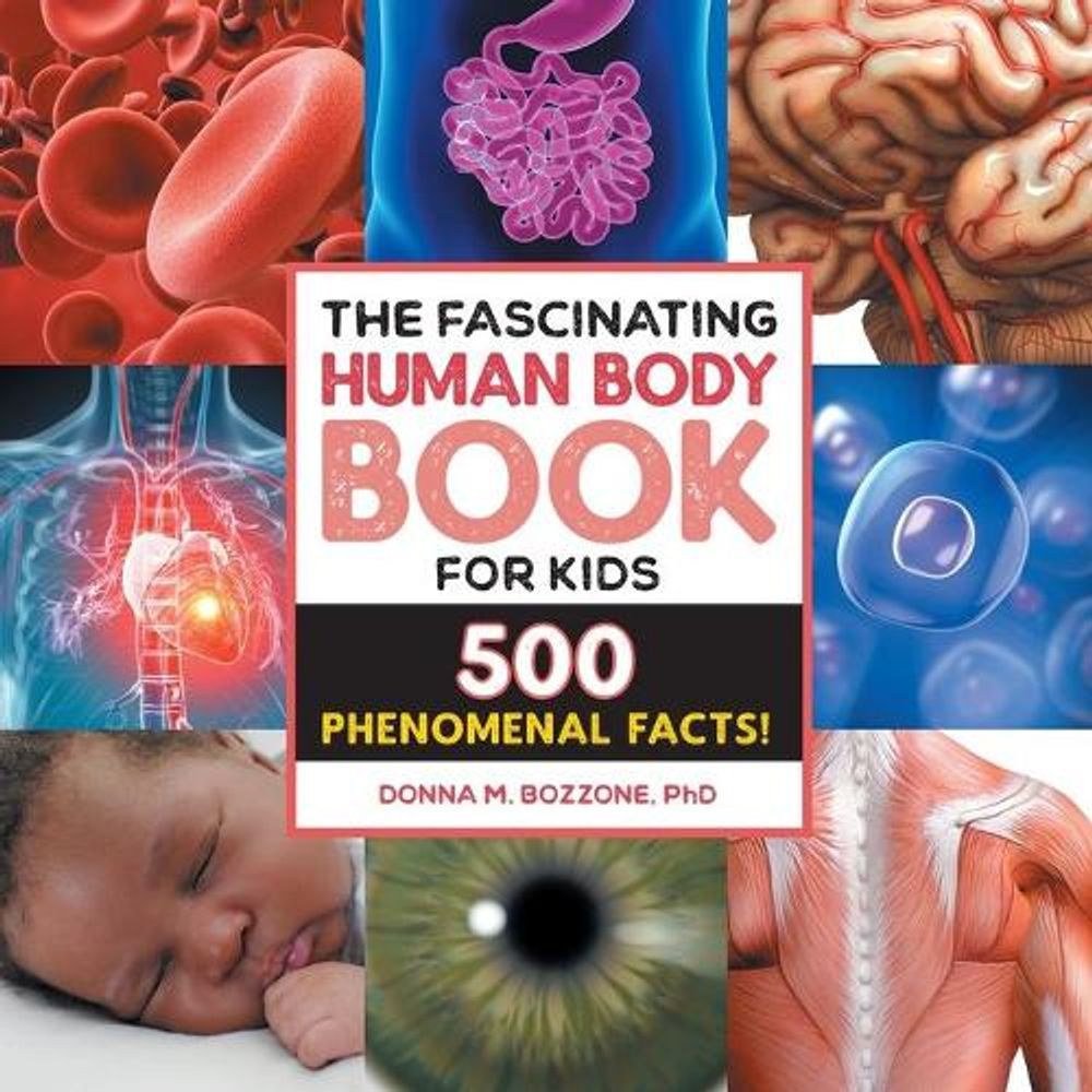 The Fascinating Human Body Book for Kids by Donna M. Bozzone PhD - ISBN: 9781685398125