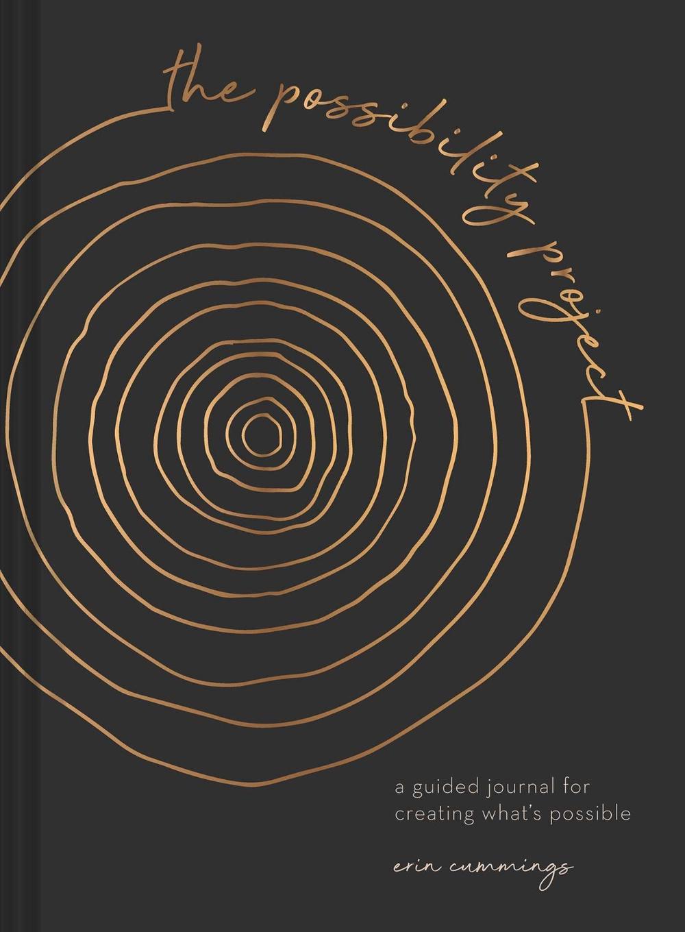 The Possibility Project by Erin Cummings - ISBN: 9781685550288