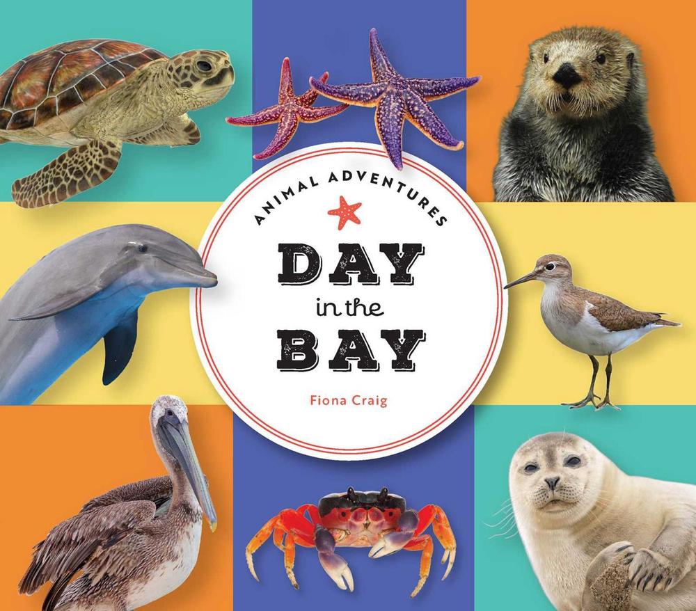 Animal Adventures: Day in the Bay by Fiona Craig - ISBN: 9781685551469