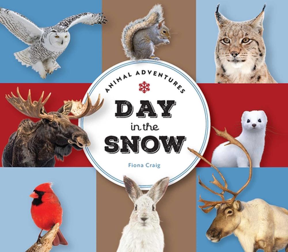 Animal Adventures: Day in the Snow by Fiona Craig - ISBN: 9781685555122