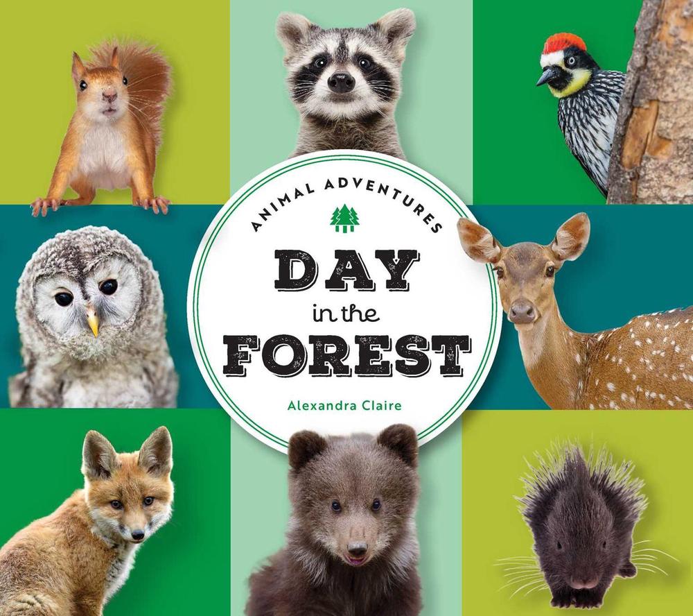 Animal Adventures: Day in the Forest by Alexandra Claire - ISBN: 9781685556433