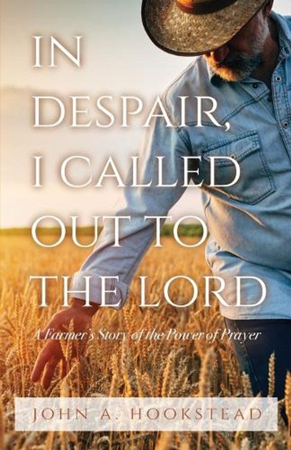 In Despair, I Called Out to the Lord by John A. Hookstead - ISBN: 9781685562946