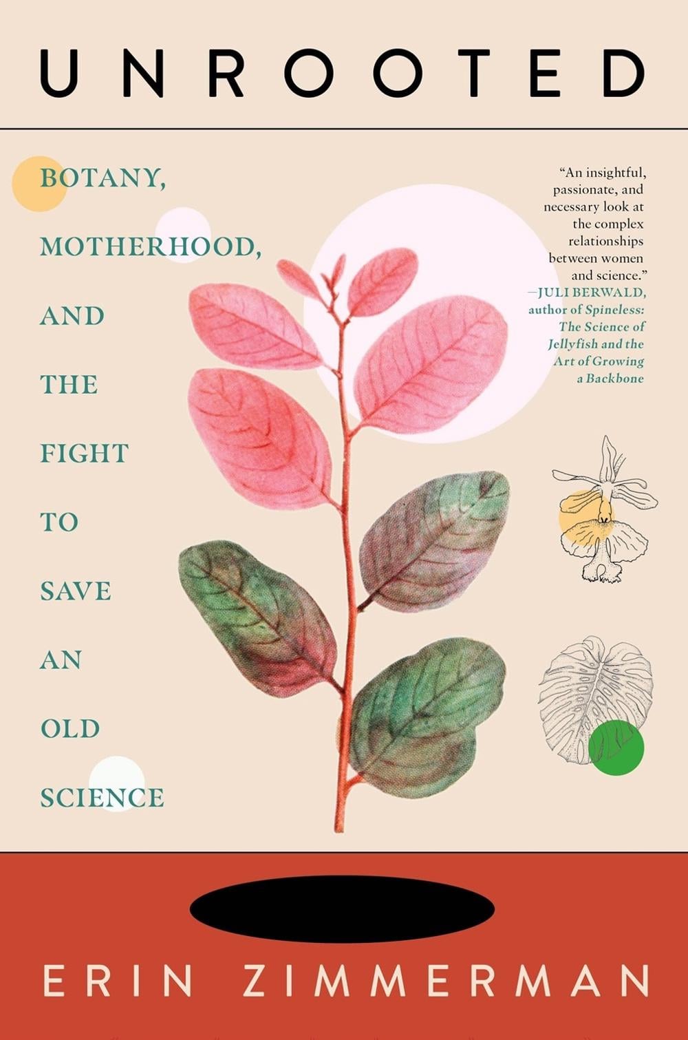 Unrooted by Erin Zimmerman - ISBN: 9781685890704