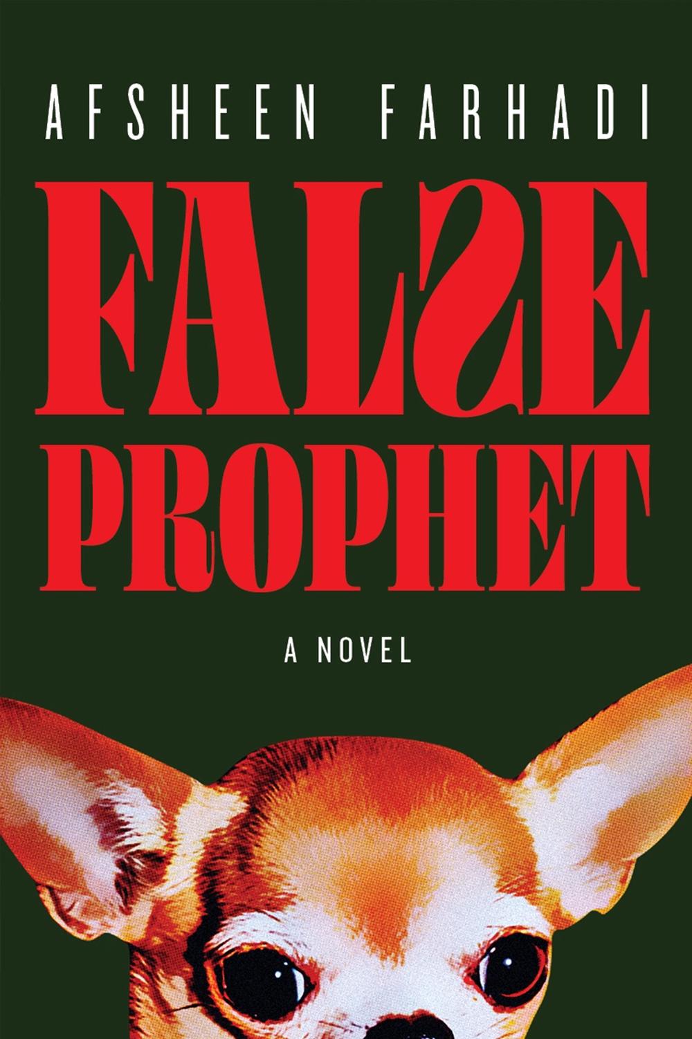 False Prophet by Afsheen Farhadi - ISBN: 9781685892418