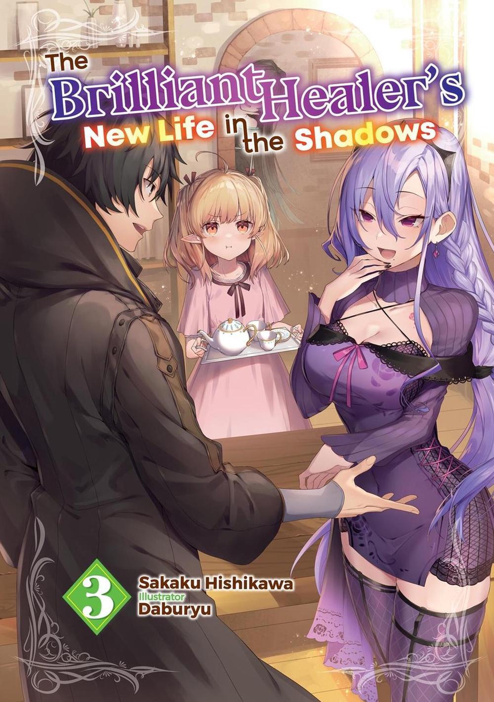 The Brilliant Healer's New Life in the Shadows: Volume 3 (Light Novel) by Sakaku Hishikawa - ISBN: 9781718332720