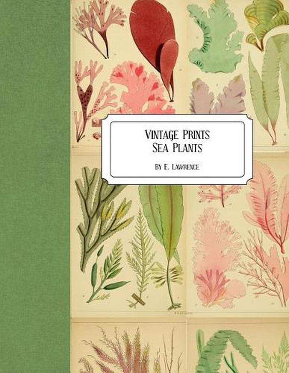 Vintage Prints, 9781726489461