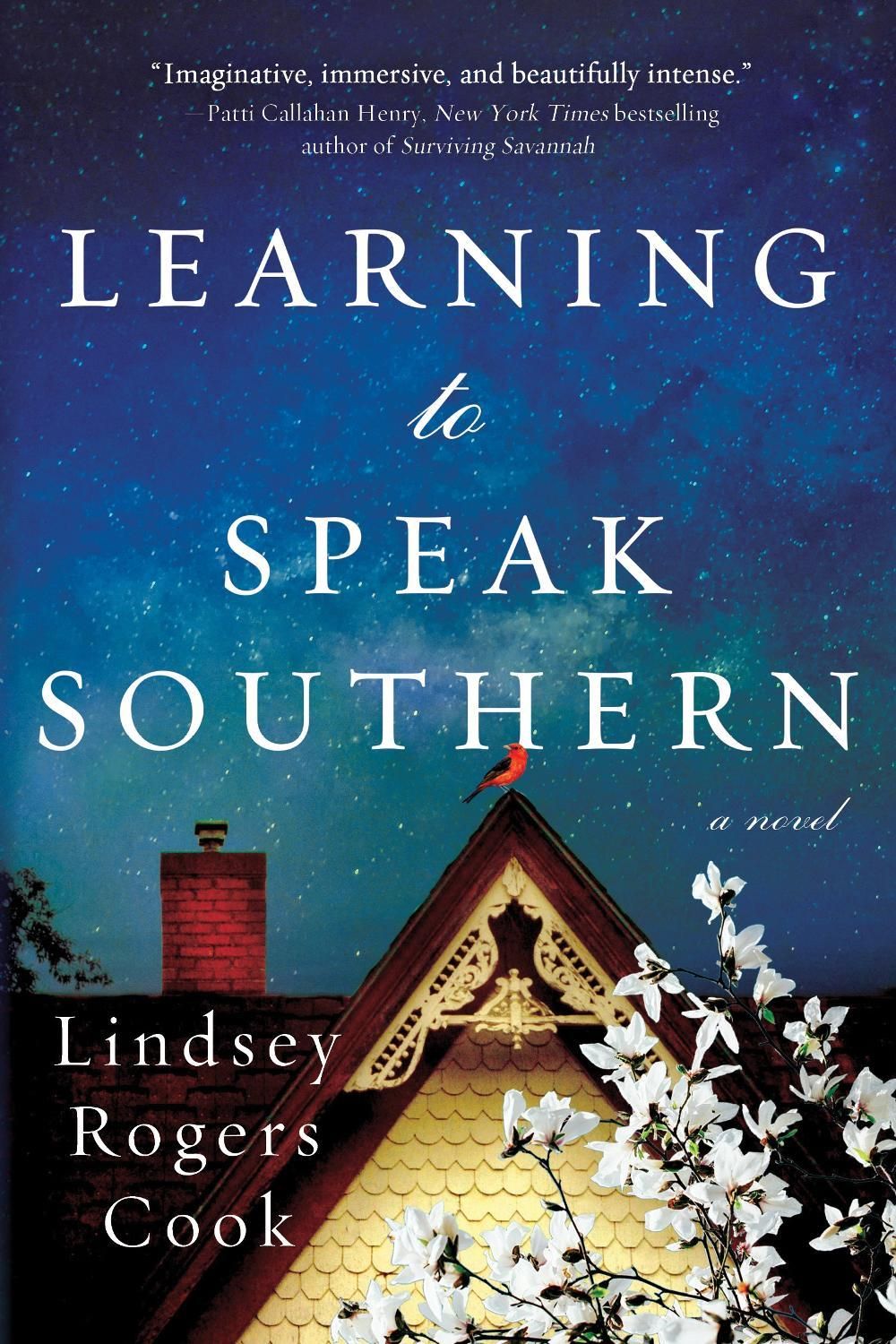 Learning to Speak Southern by Lindsey Rogers Cook - ISBN: 9781728205403