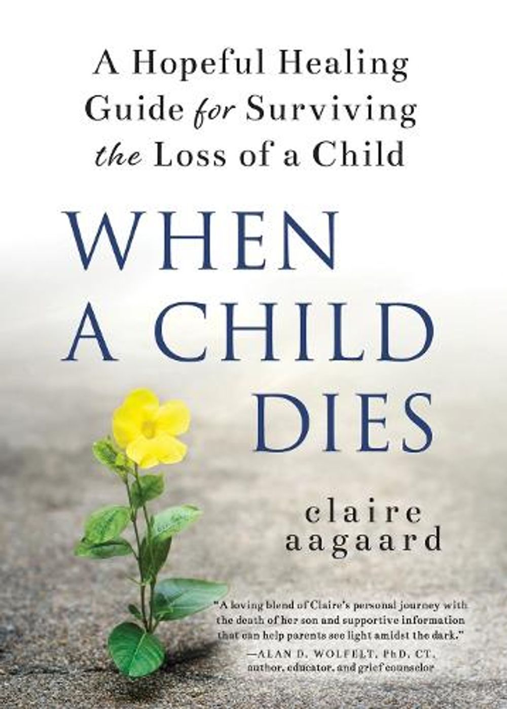When a Child Dies by Claire Aagaard - ISBN: 9781728253299