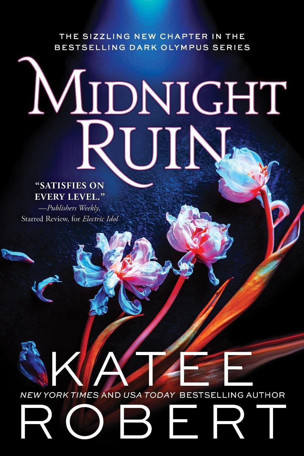 Midnight Ruin by Katee Robert - ISBN: 9781728262796