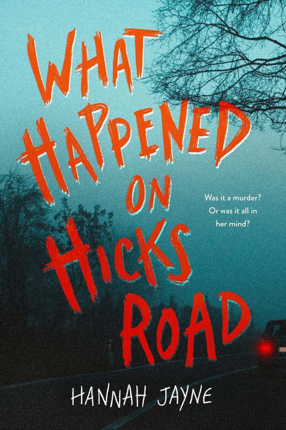 What Happened on Hicks Road by Hannah Jayne - ISBN: 9781728262918
