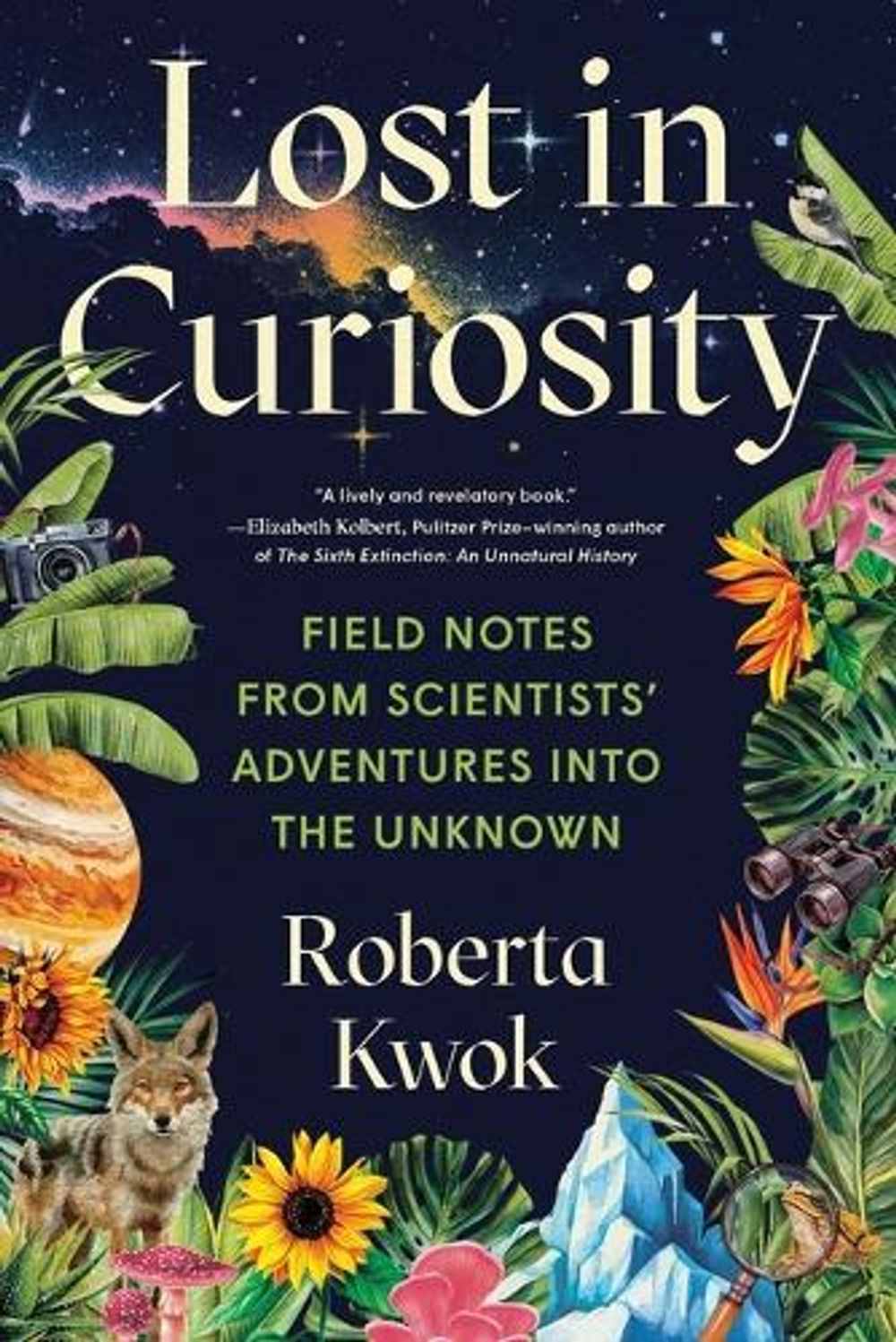 Lost in Curiosity by Roberta Kwok - ISBN: 9781728275970