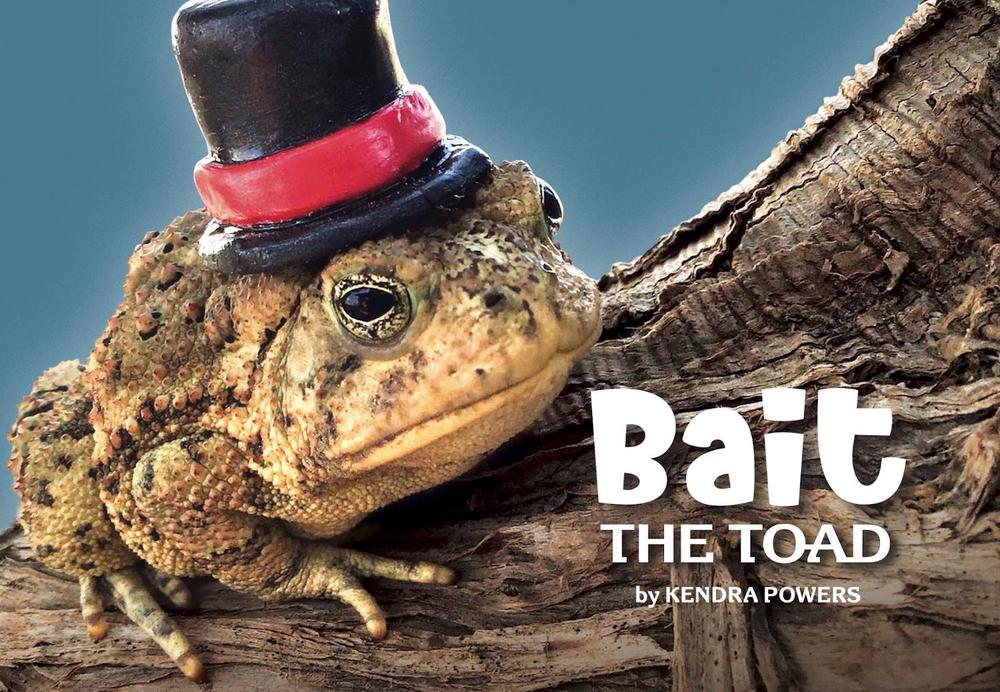 Bait the Toad by Kendra Powers - ISBN: 9781733547451