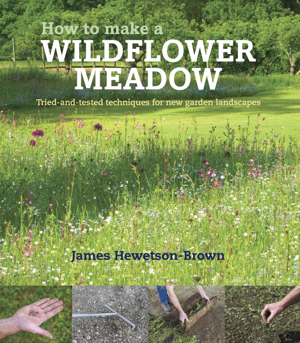 How to make a wildflower meadow, 9781739903916
