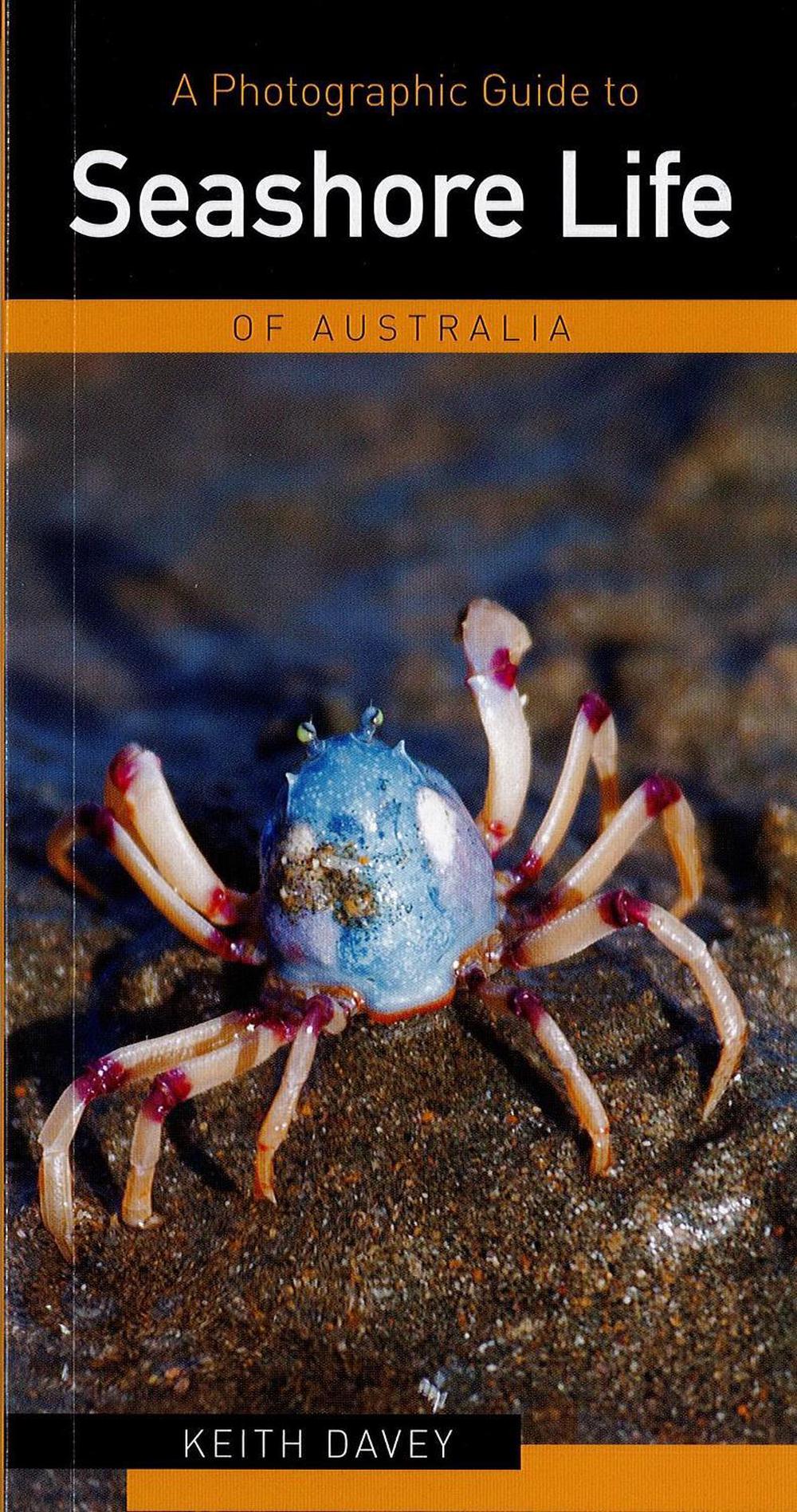 Photographic Guide to Seashore Life, 9781741102048