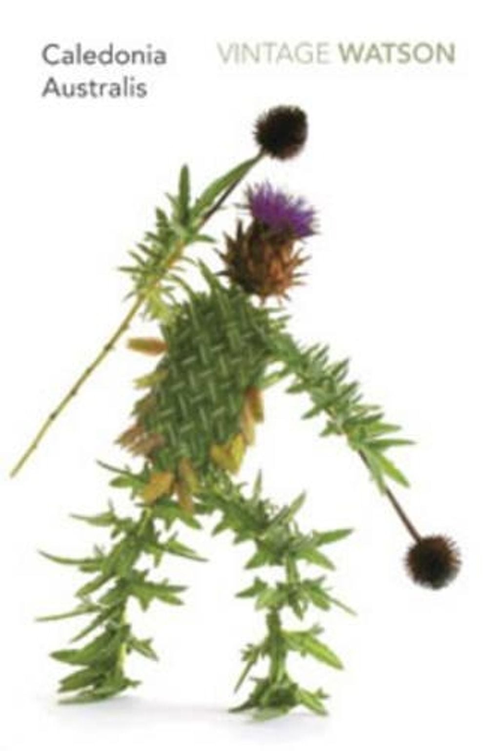 Caledonia Australis by Don Watson - ISBN: 9781741667660