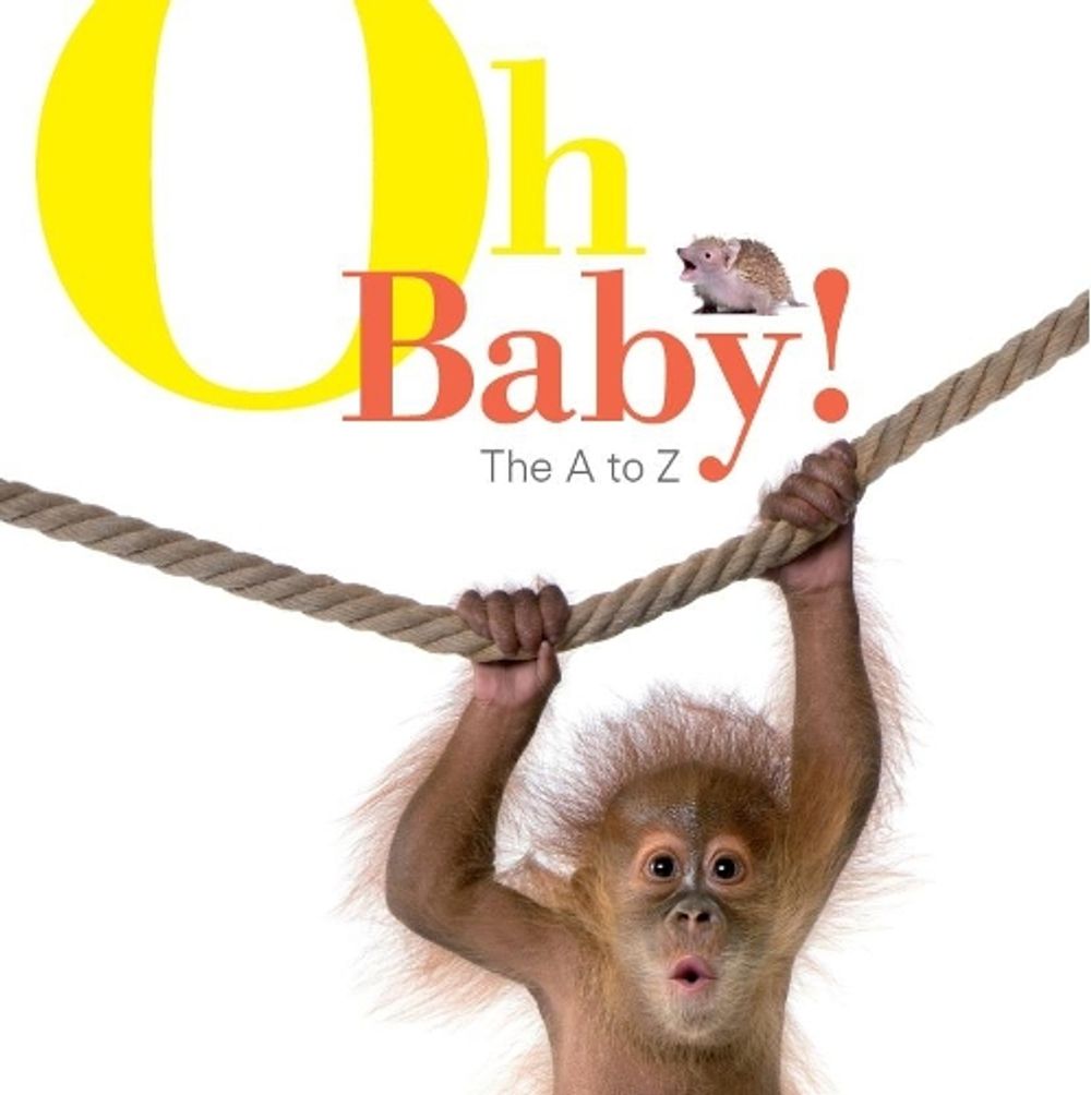 Oh Baby! The A to Z by Black Dog Books - ISBN: 9781742032306