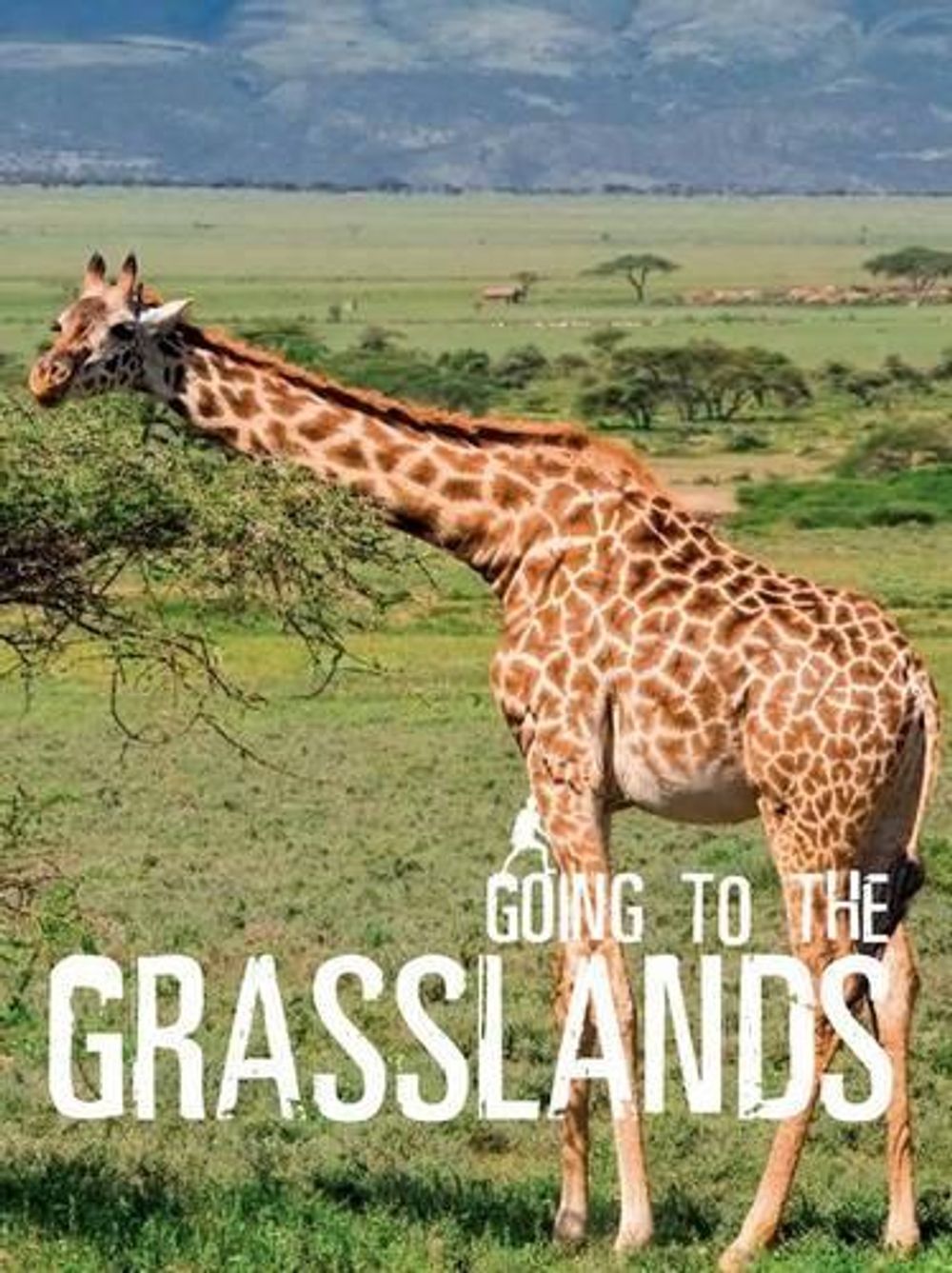 Going to the Grassland by Wild Dog Books - ISBN: 9781742035345