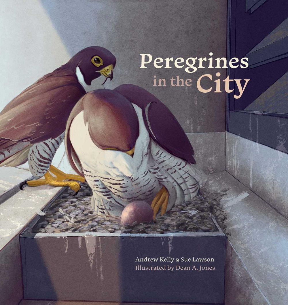 Peregrines in the City by Andrew Kelly - ISBN: 9781742036519
