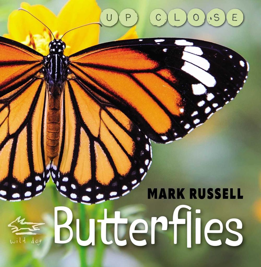 Butterflies by Wild Dog Books - ISBN: 9781742037097