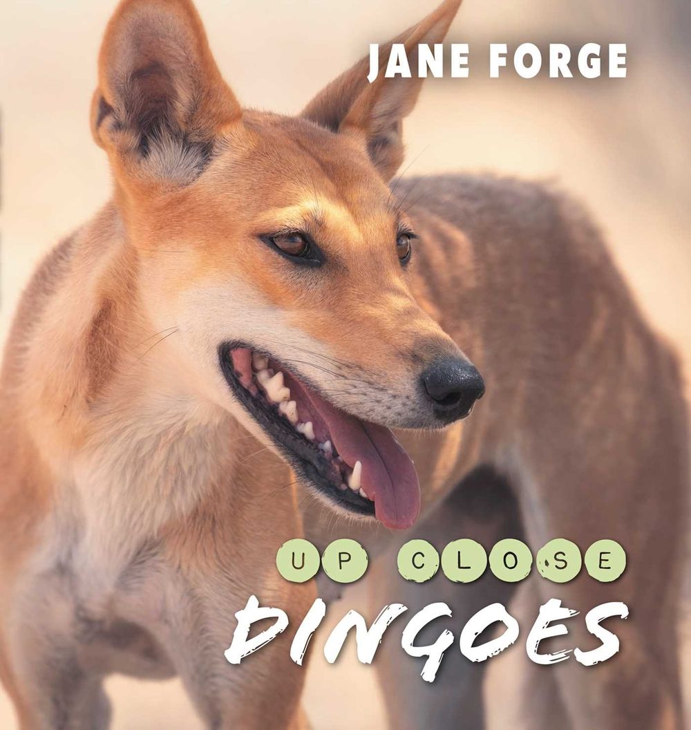 Dingoes Up Close by Jane Forge - ISBN: 9781742037240