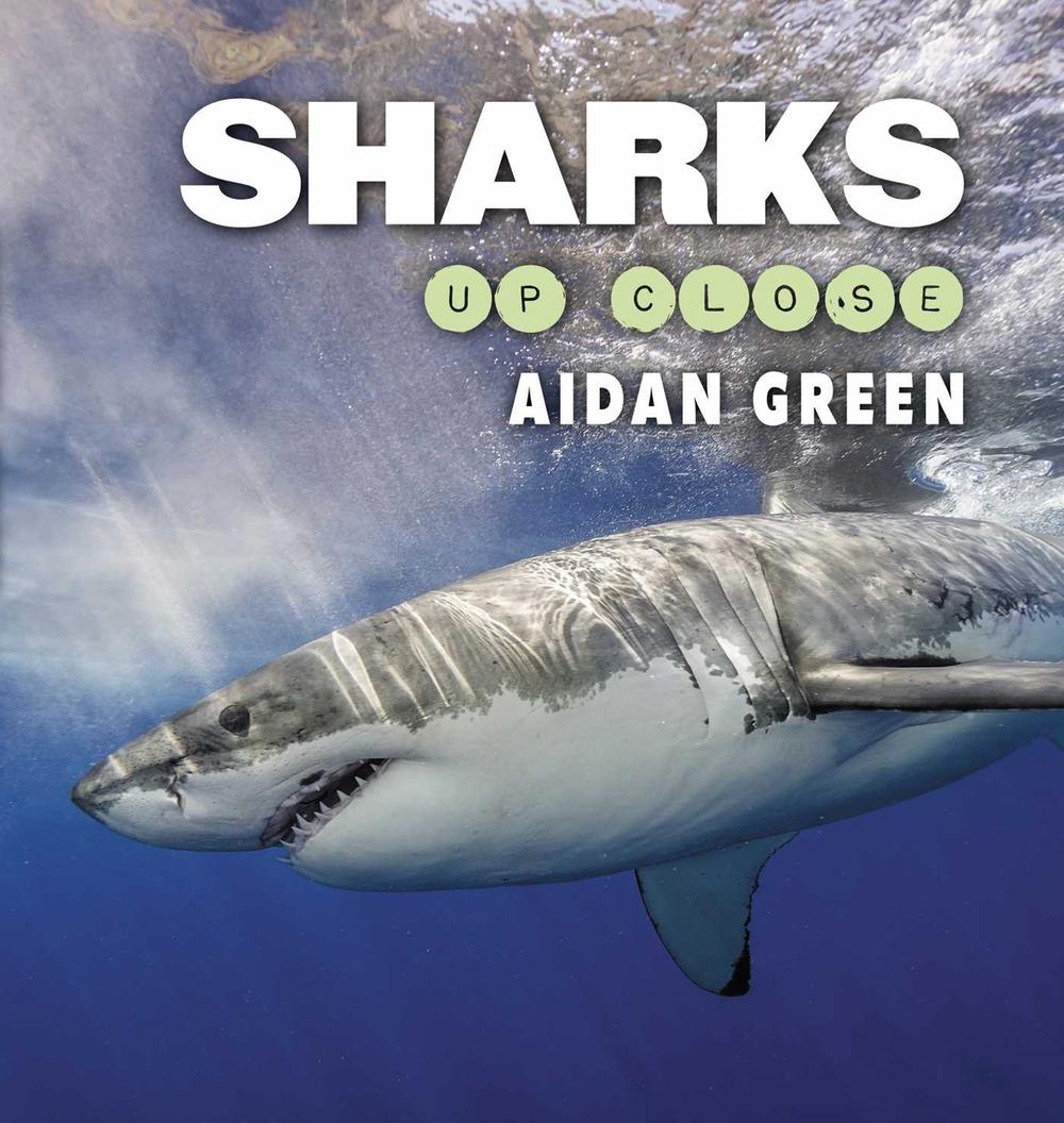 Sharks Up Close by Aidan Green - ISBN: 9781742037264