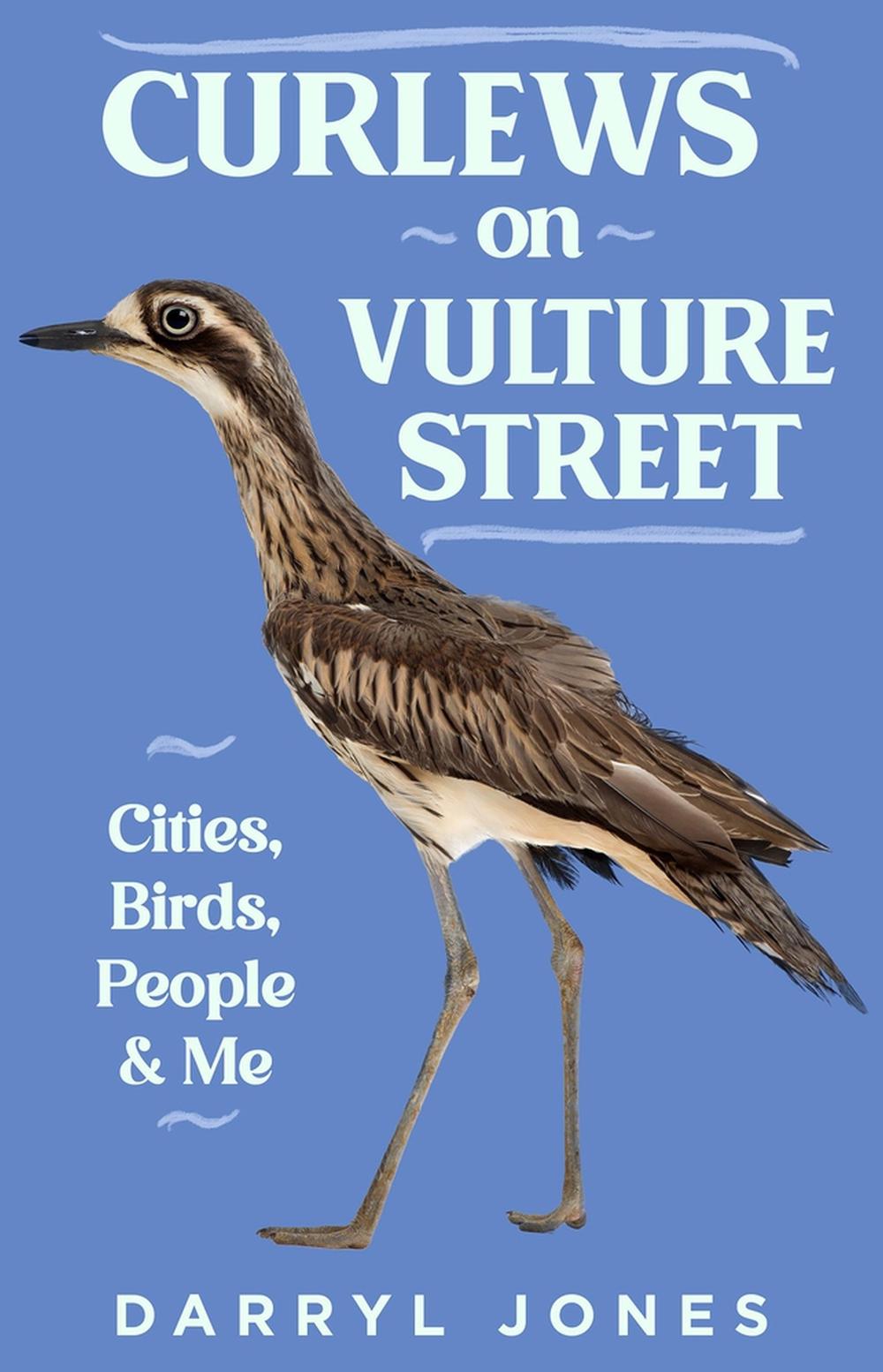 Curlews on Vulture Street, 9781742237367