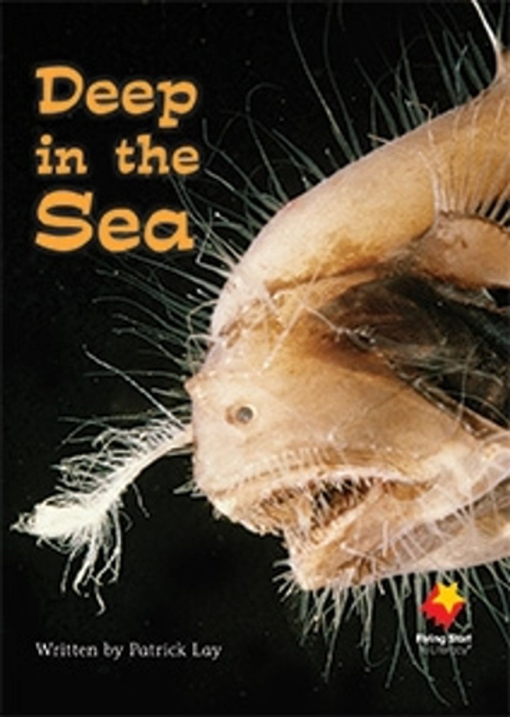 Deep in the Sea by Lay - ISBN: 9781742341125