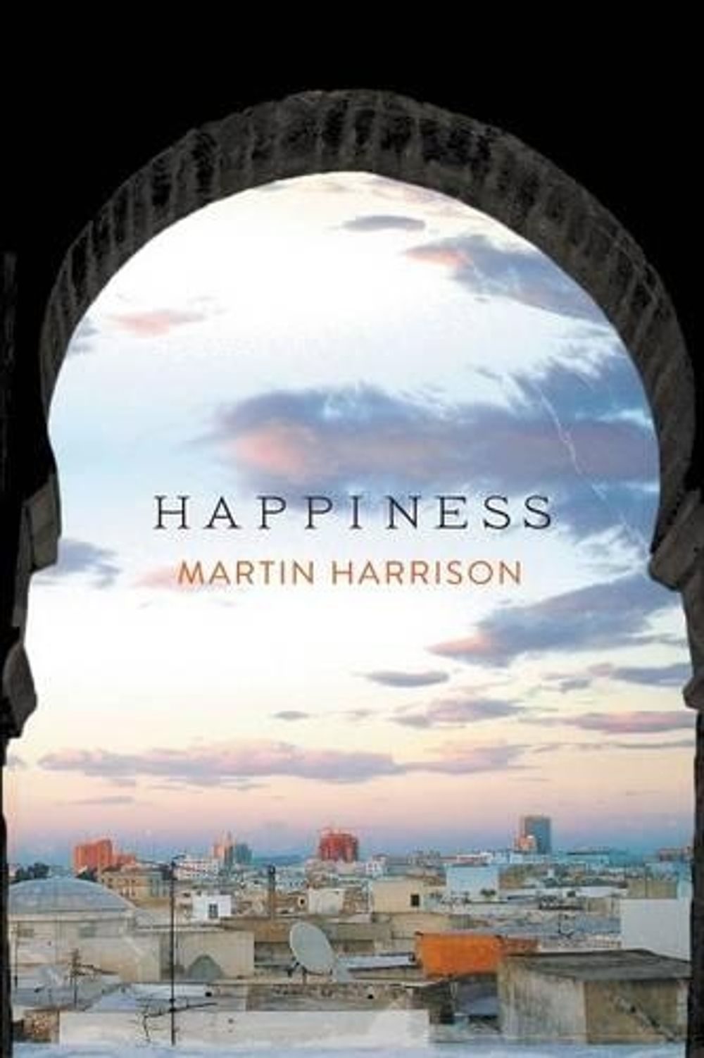 Happiness by Martin Harrison - ISBN: 9781742586861