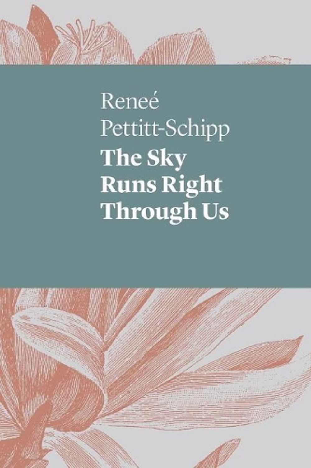 The Sky Runs Right Through Us by Renee Pettitt-Schipp - ISBN: 9781742589596