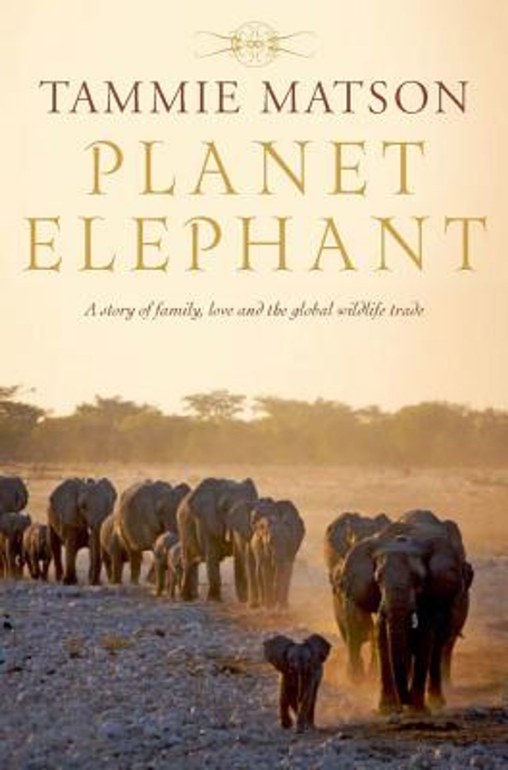 Planet Elephant by Tammie Matson - ISBN: 9781742612072