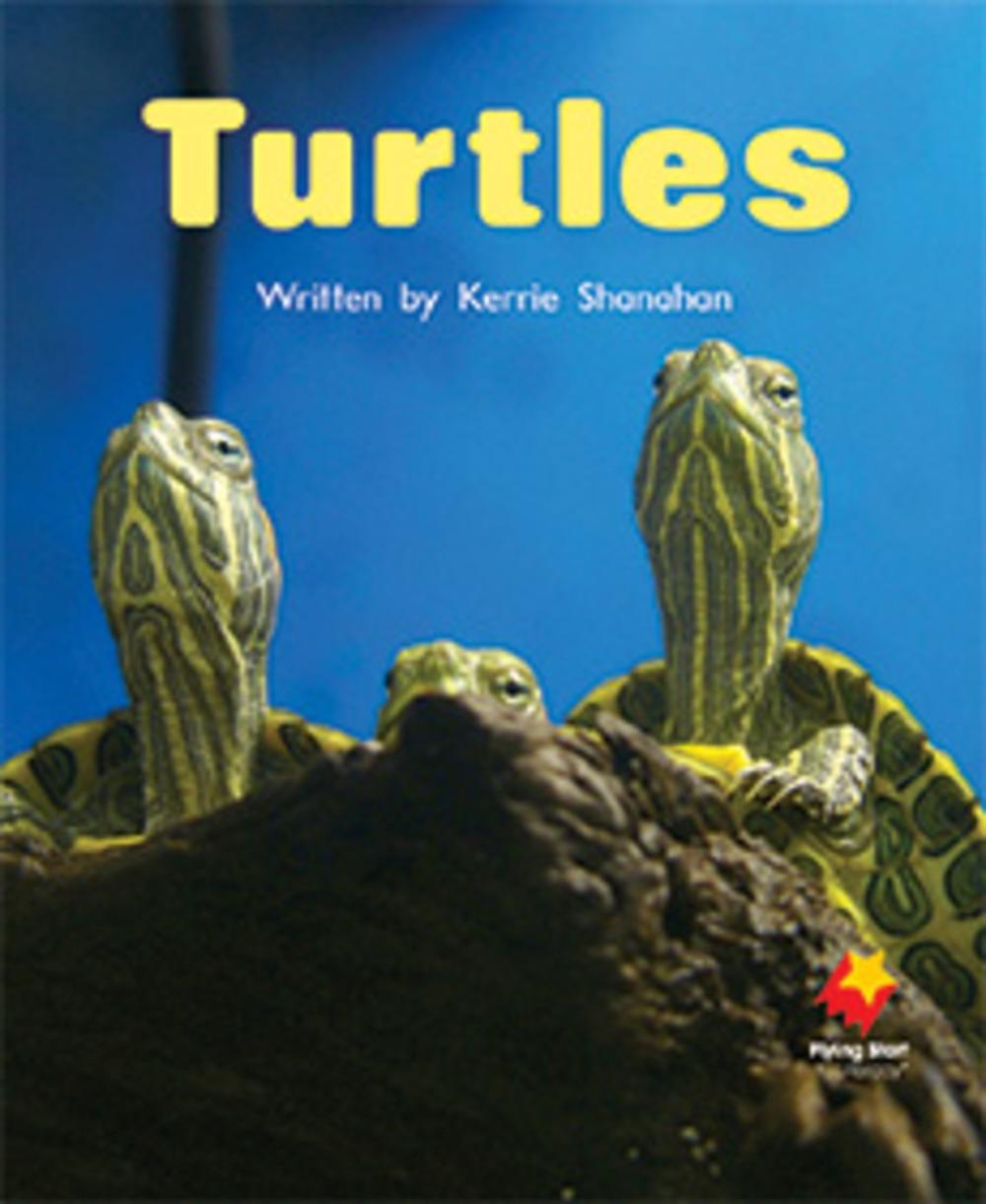 Turtles by Shanahan - ISBN: 9781743205822