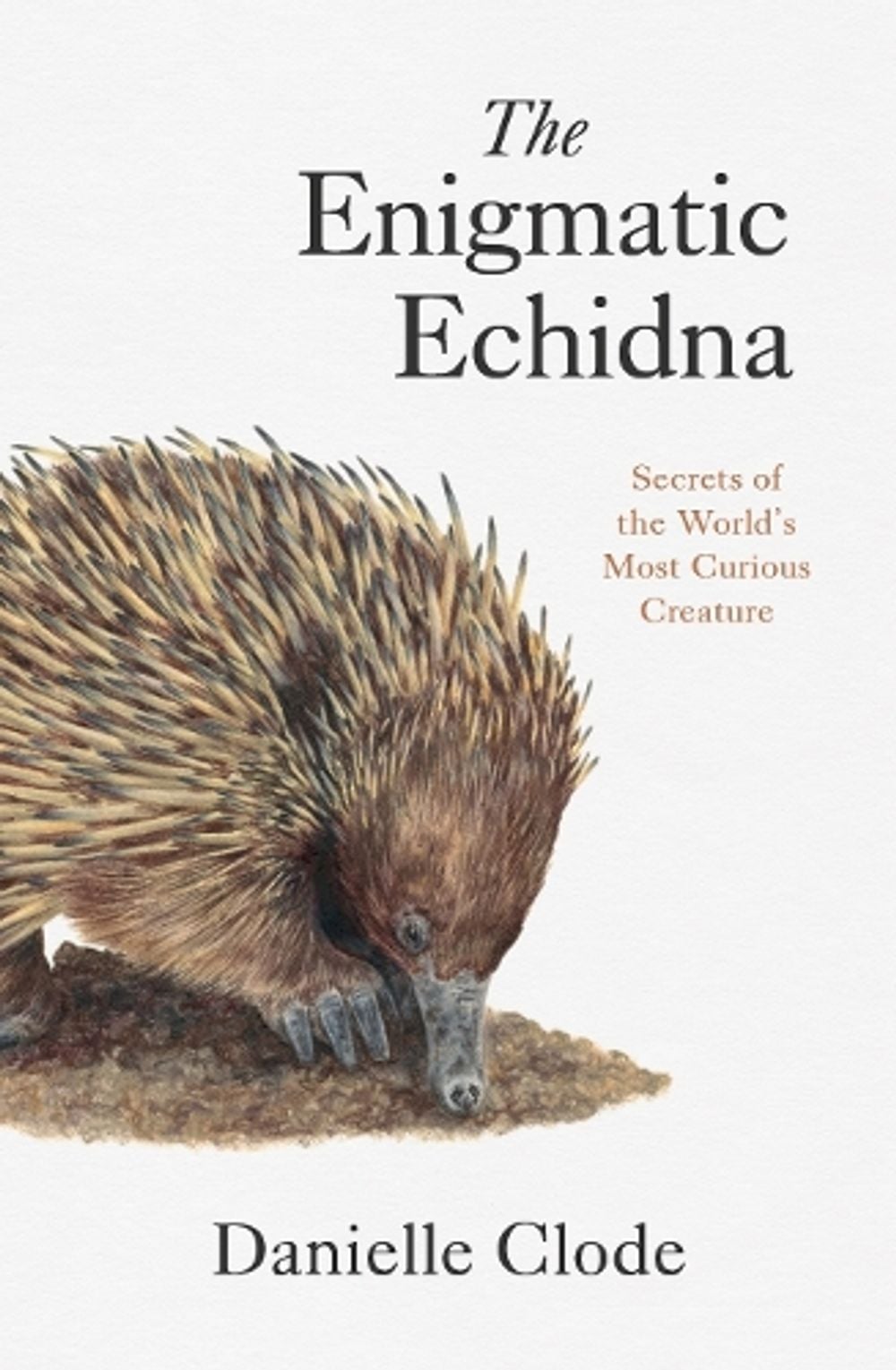 The Enigmatic Echidna by Danielle Clode - ISBN: 9781760645328
