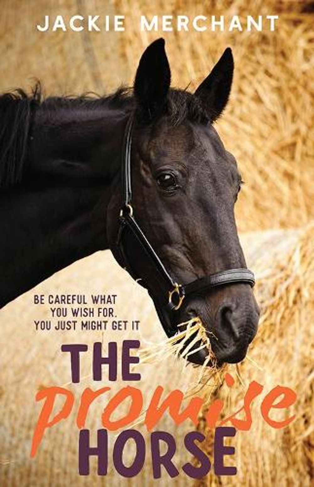The Promise Horse by Jackie Merchant - ISBN: 9781760650568