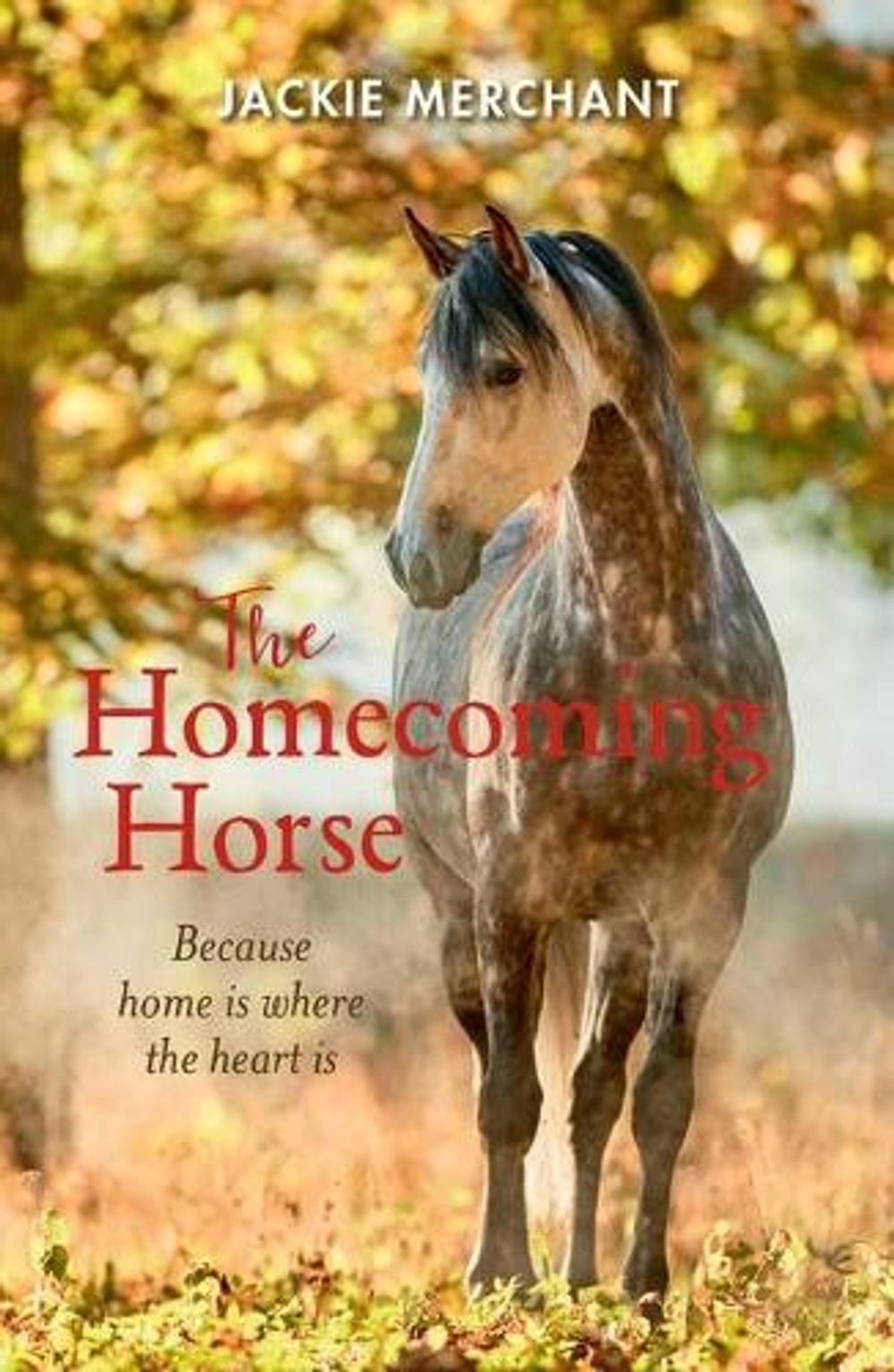 The Homecoming Horse by Jackie Merchant - ISBN: 9781760653569