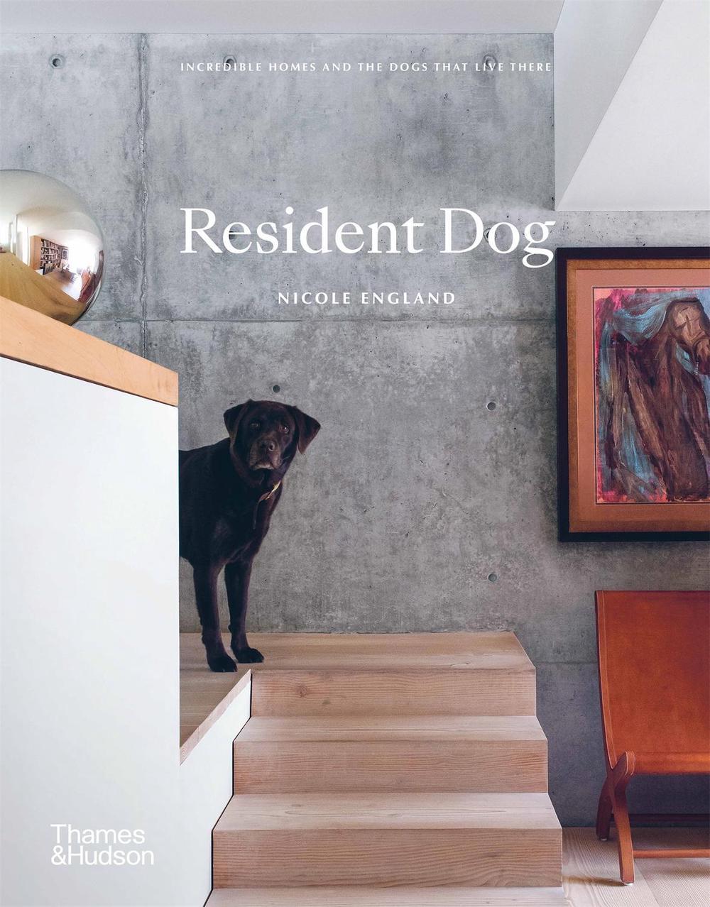 Resident Dog, 9781760760847