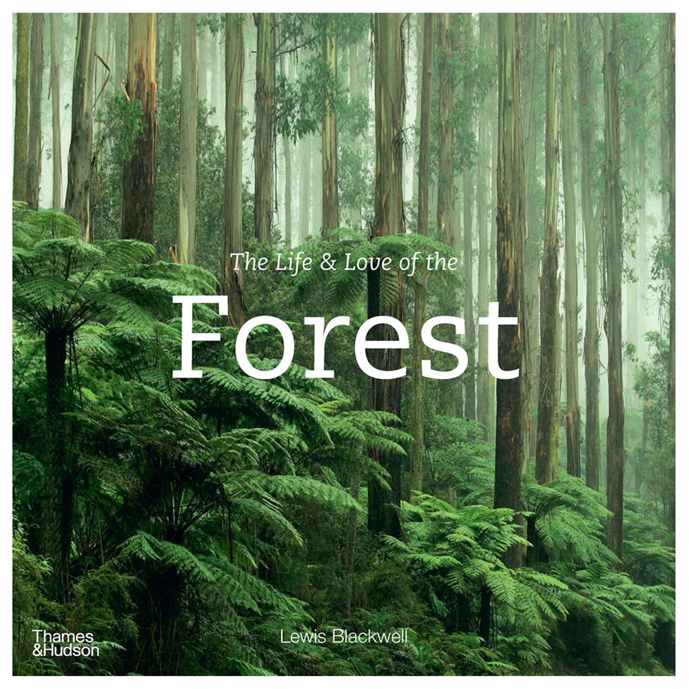 The Life & Love of the Forest by Lewis Blackwell, Hardcover ...