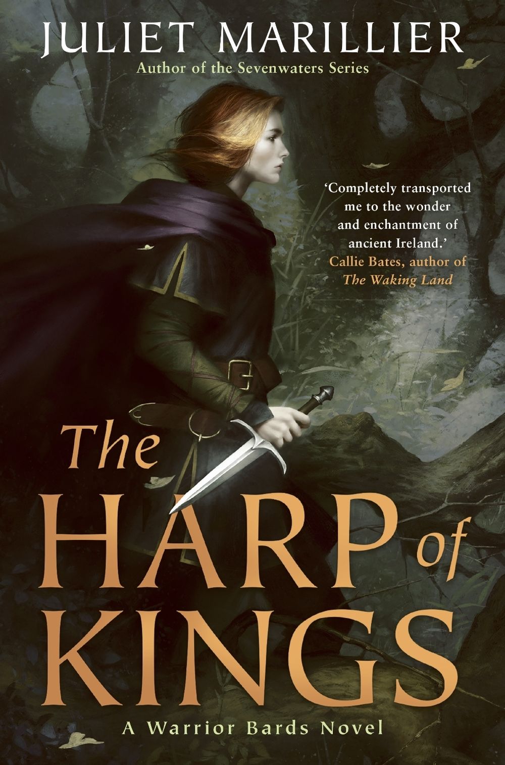 The Harp of Kings: A Warrior Bards Novel 1 by Juliet Marillier - ISBN: 9781760783297