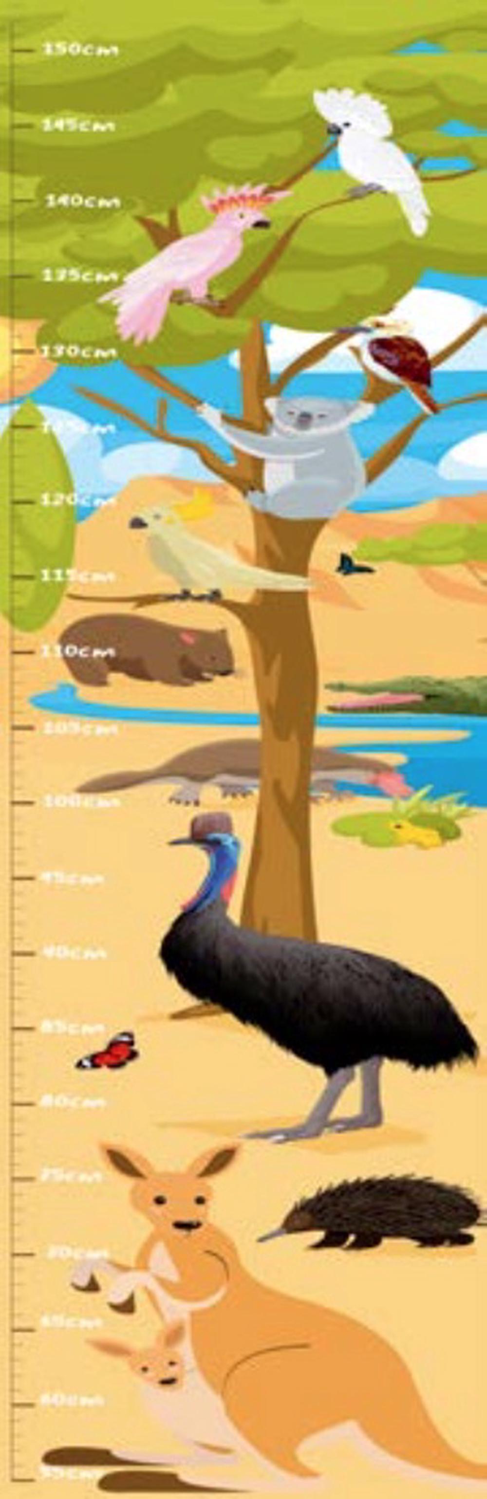 New Holland Aussie Animals Height Chart, 9781760793739