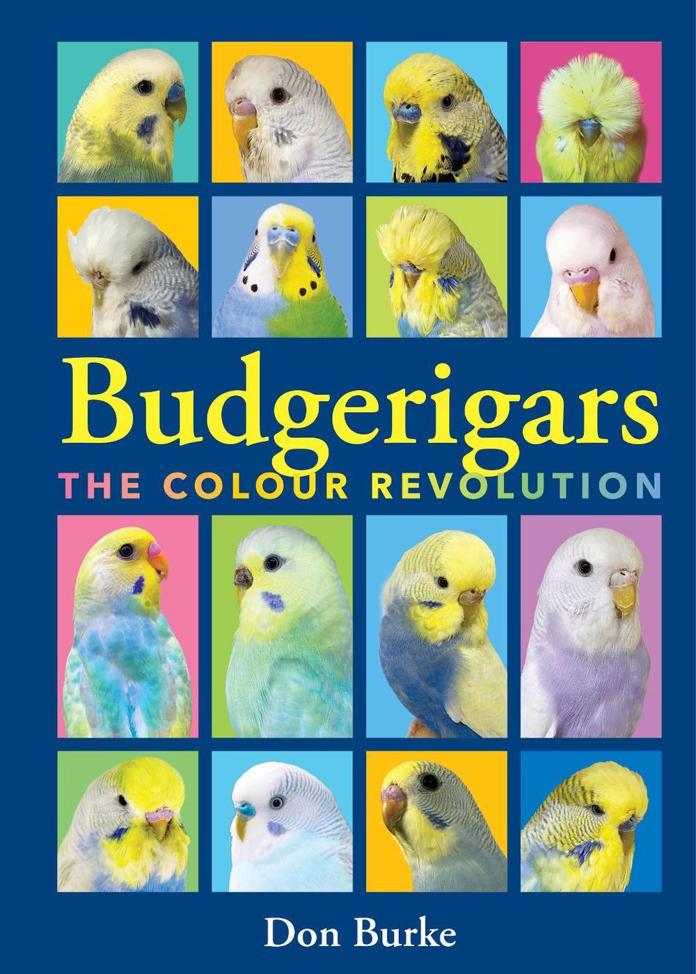 Budgerigars, 9781760796105