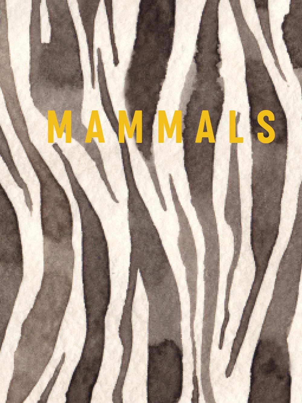 Mammals by Reed New Holland - ISBN: 9781760796228