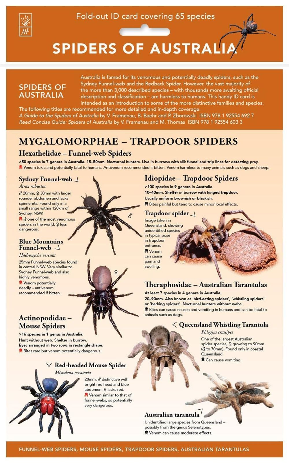 Spiders of Australia by Reed New Holland Publishers - ISBN: 9781760796235