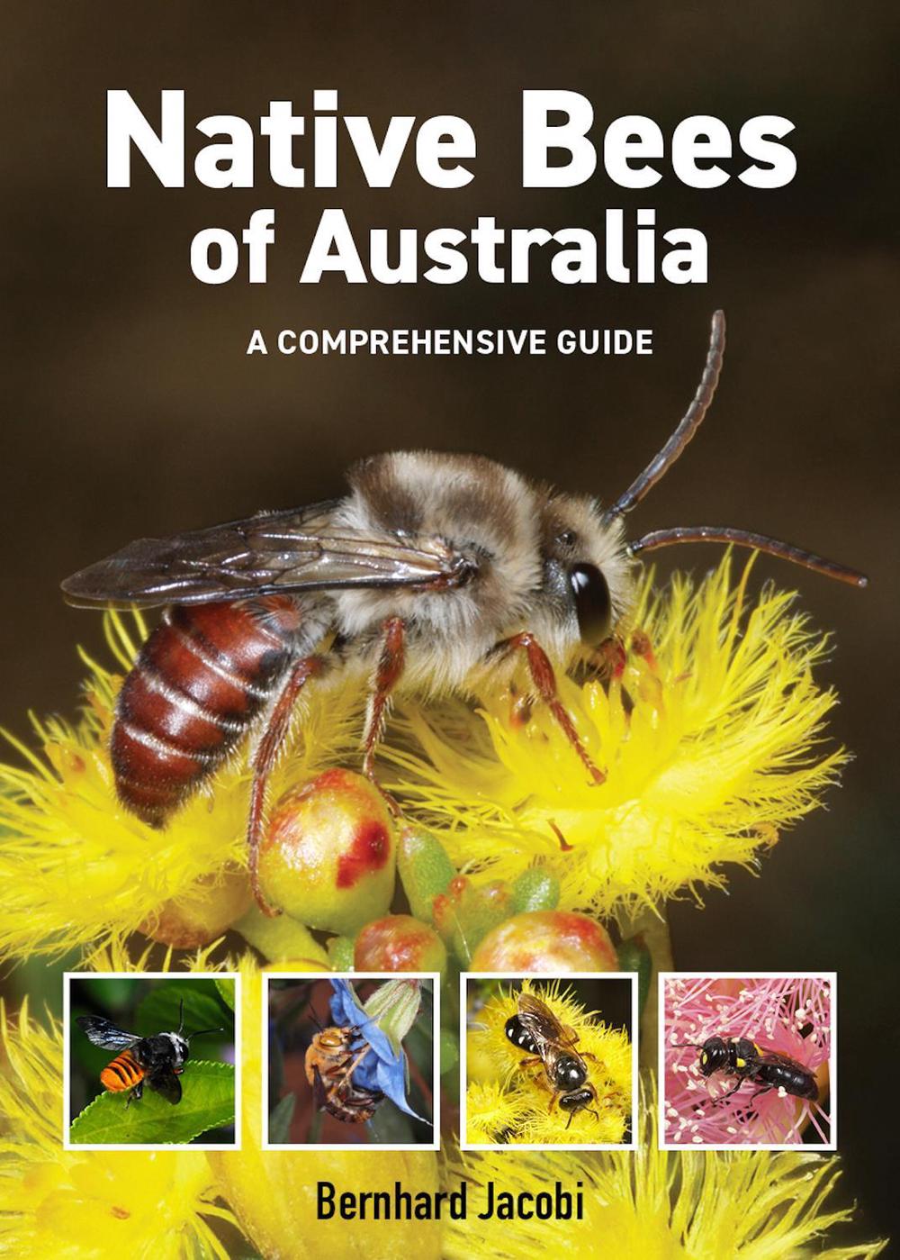 Native Bees of Australia, 9781760796372