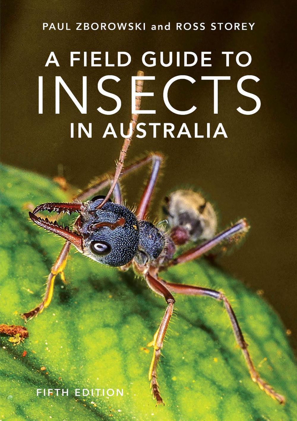 A Field Guide to Insects of Australia, 9781760796402