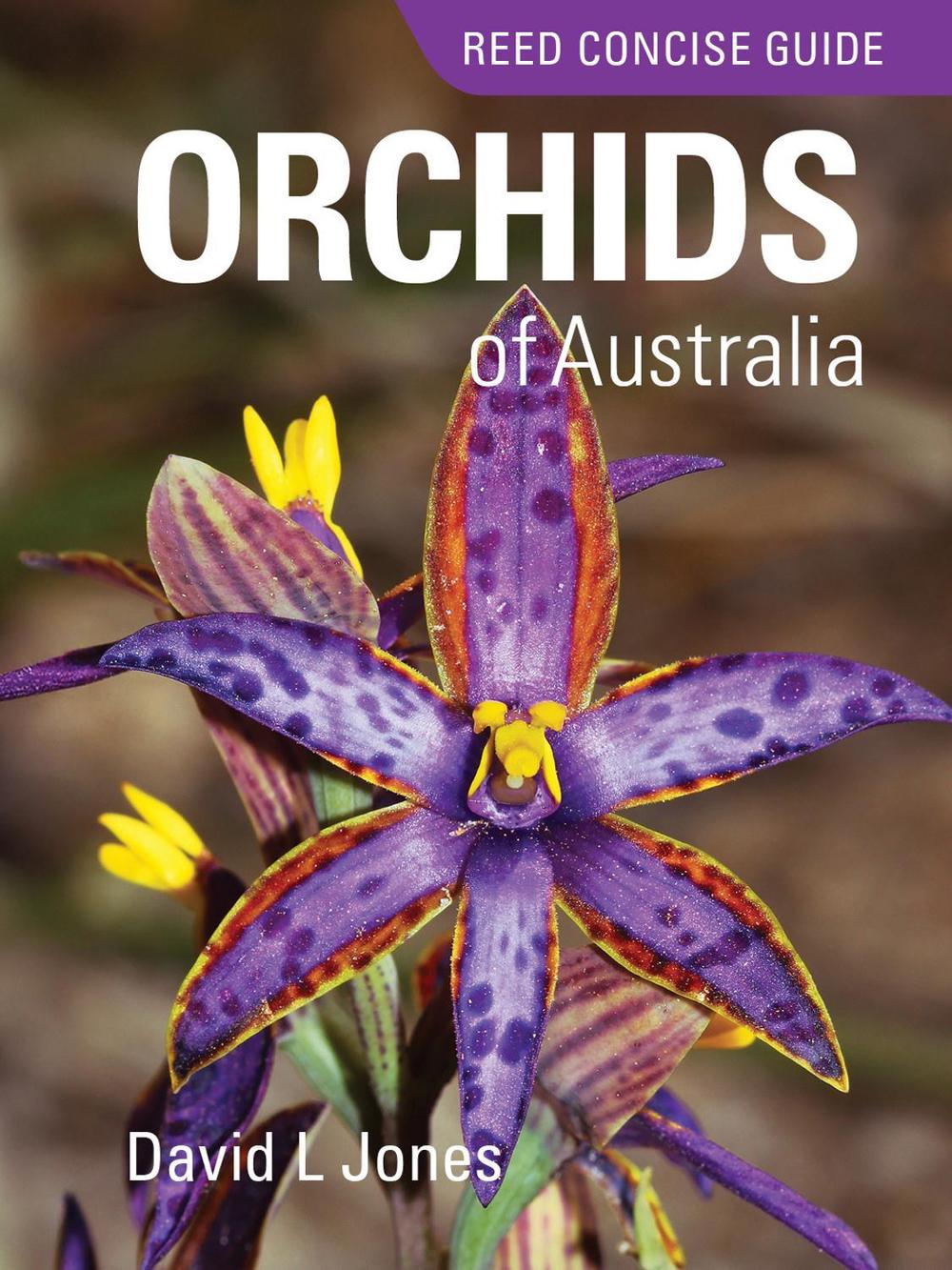 Reed Concise Guide: Orchids of Australia, 9781760796464